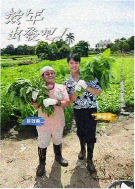 明星大侦探 推理综艺推荐